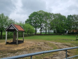 Nutter - Vasserweg 28